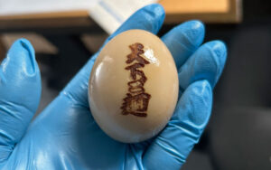 ゆで卵への焼印